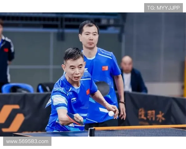乒乓球深度剖析：杭州乒乓球队如何实现战术与技术的完美转换