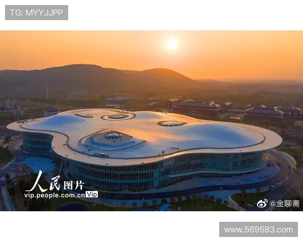 南京极限运动队的整体表现分析与未来发展方向探讨